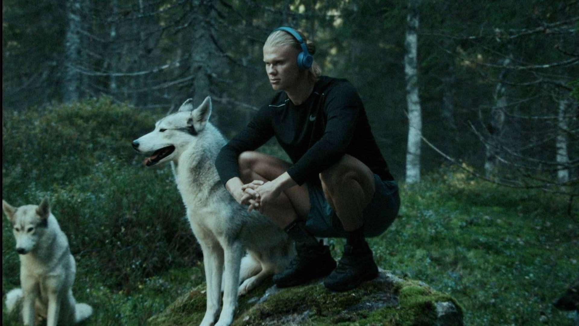 代表力量与 代表力量与